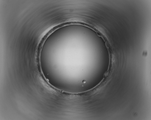 X0000112061068200908041209