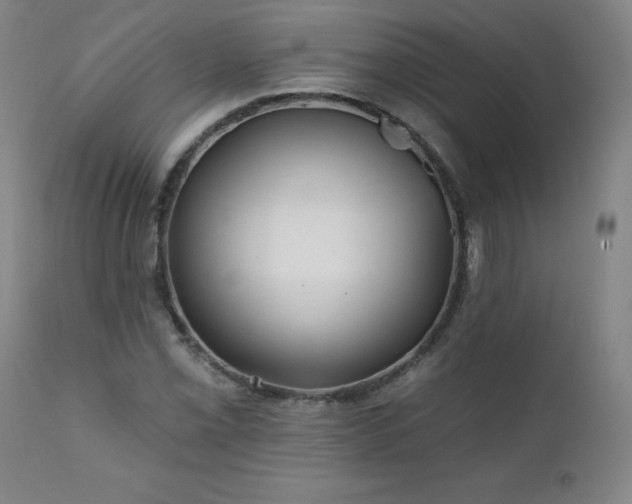 X0000112061069200908041209