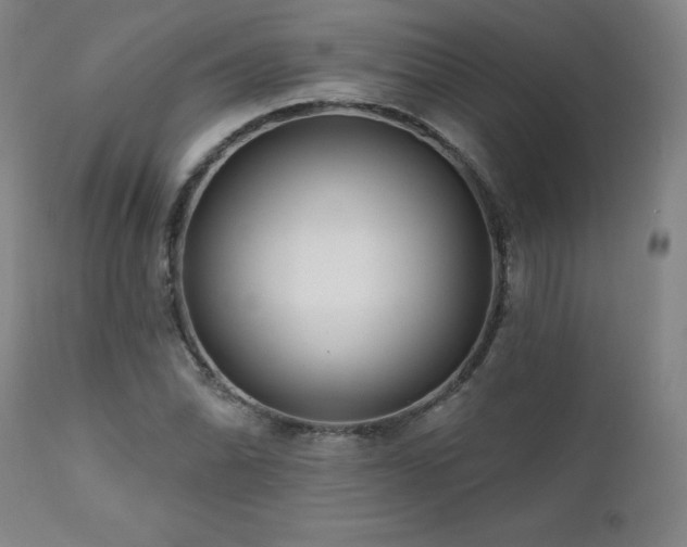 X0000112061070200908041209