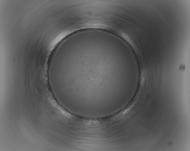 X0000112061071200908041209