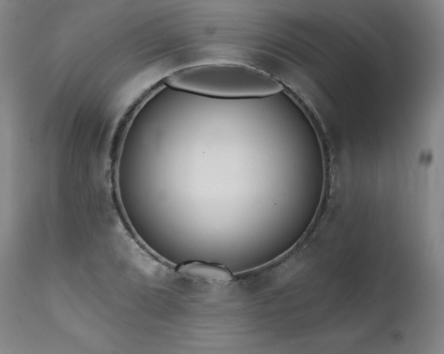 X0000112061072200908041209