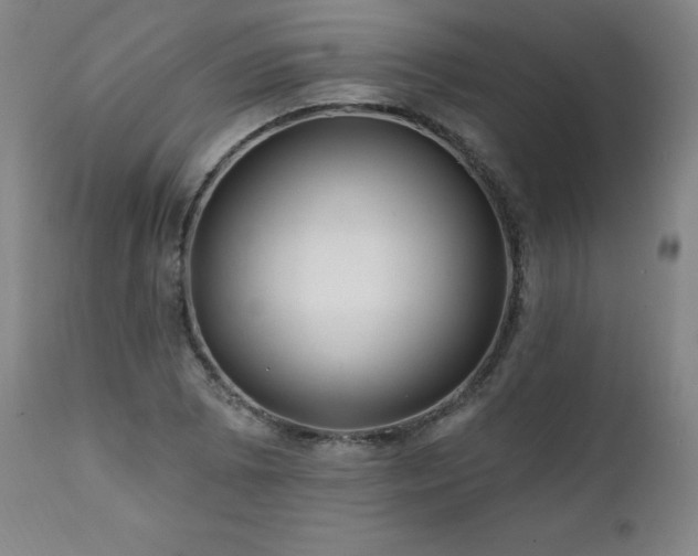 X0000112061073200908041209