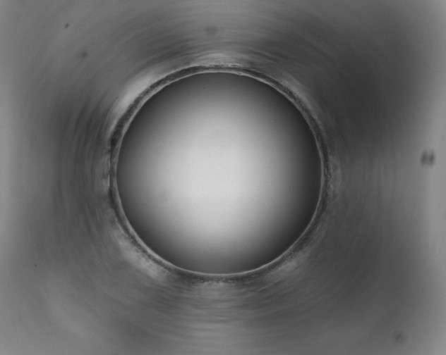 X0000112061075200908041209