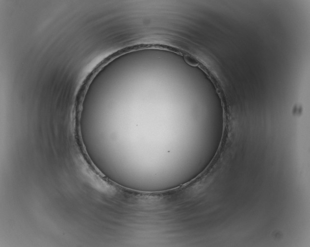 X0000112061076200908041209