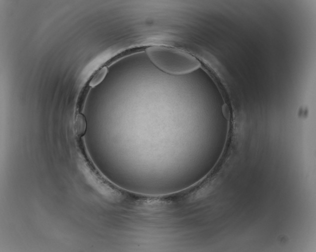 X0000112061077200908041209