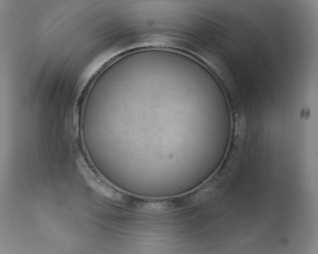 X0000112061078200908041209