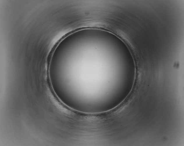 X0000112061079200908041209