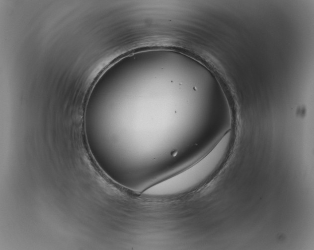 X0000112061081200908041209