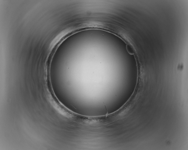 X0000112061082200908041209
