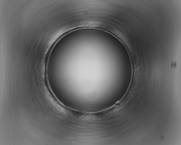 X0000112061083200908041209