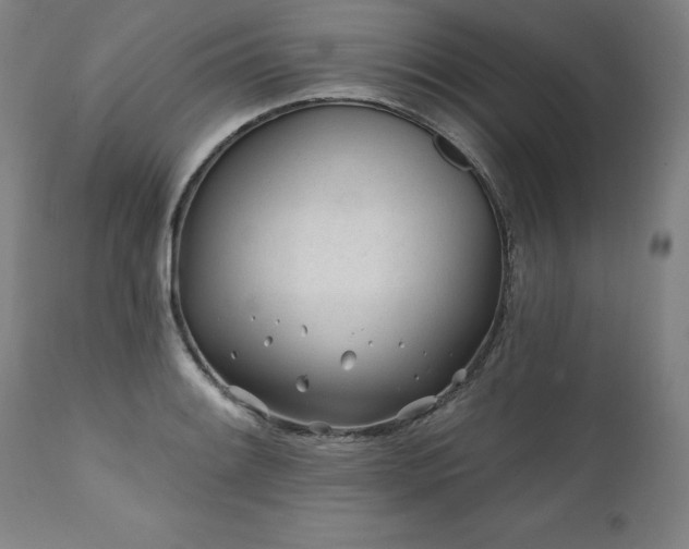 X0000112061084200908041209