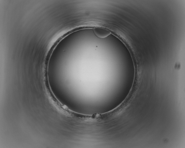 X0000112061085200908041209