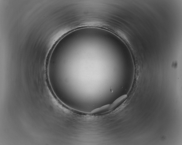 X0000112061087200908041209