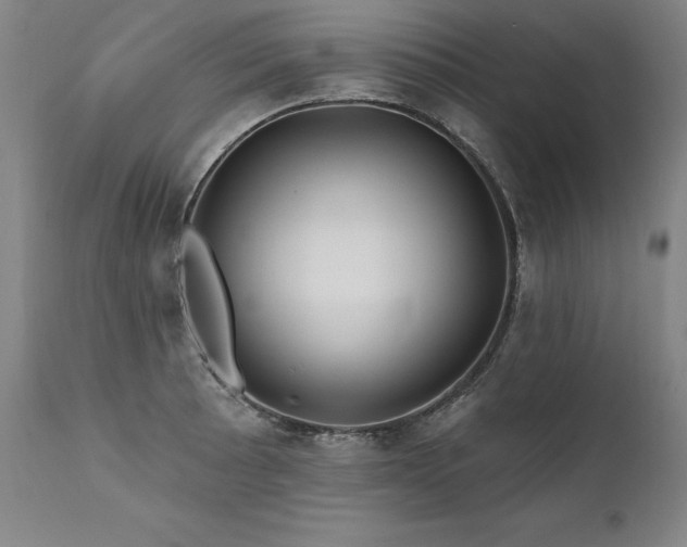 X0000112061089200908041209