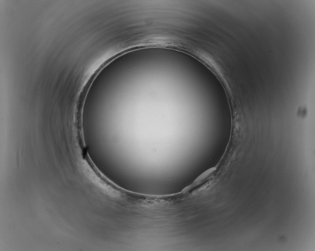 X0000112061091200908041209