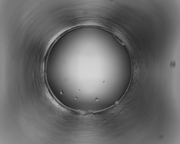 X0000112061092200908041208