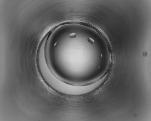 X0000112061093200908041208