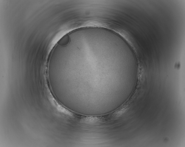 X0000112061094200908041208
