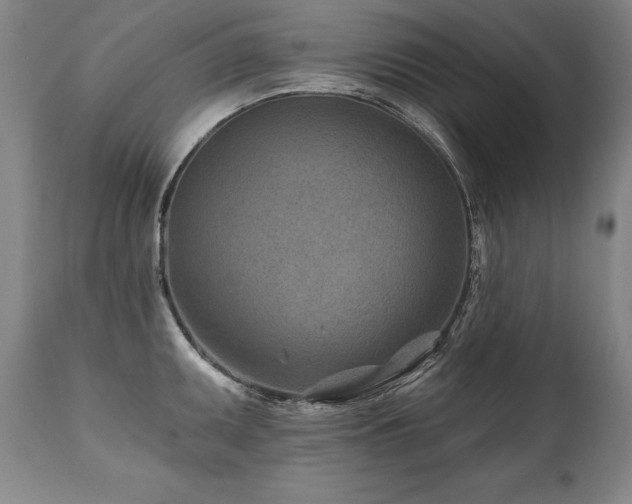 X0000112061095200908041208