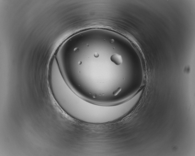 X0000112061096200908041208