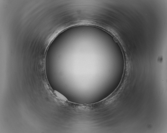 X0000112061097200908041208