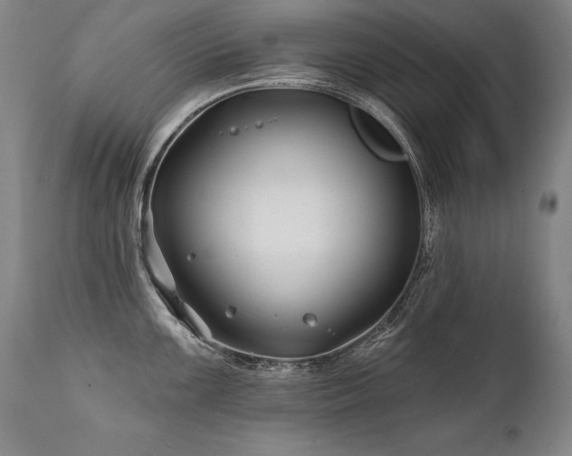 X0000112061099200908041208