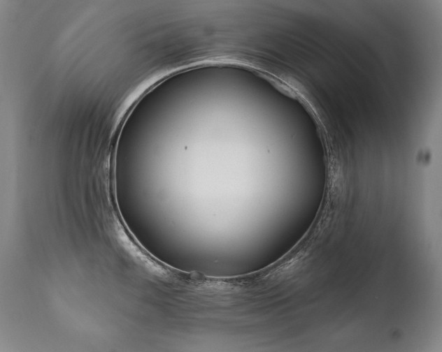 X0000112061100200908041208
