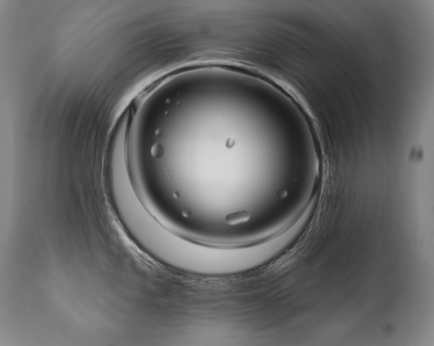 X0000112061101200908041208