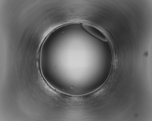 X0000112061102200908041208