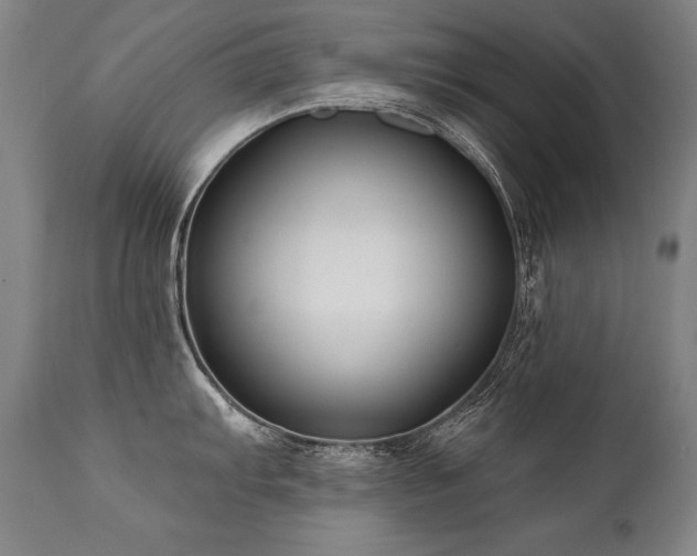 X0000112061103200908041208