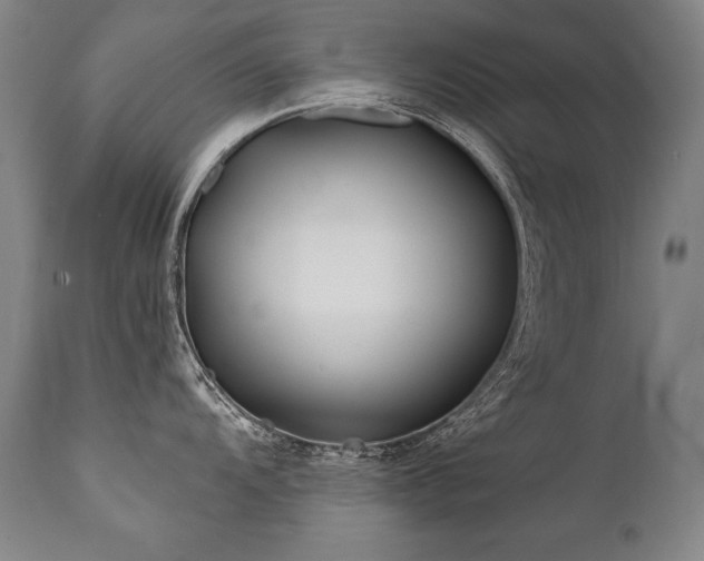 X0000112061104200908041208