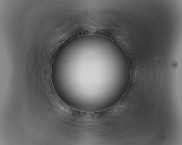 X0000112061105200908041207