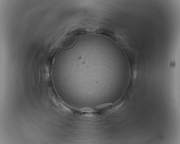 X0000112061106200908041208