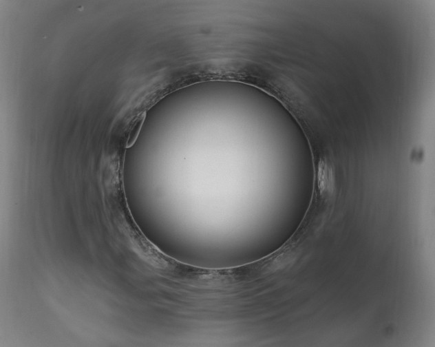 X0000112061107200908041208