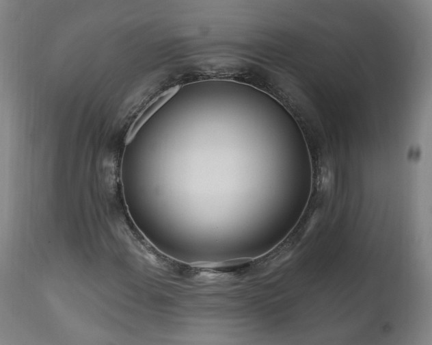 X0000112061108200908041208
