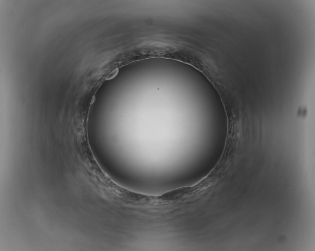 X0000112061109200908041208