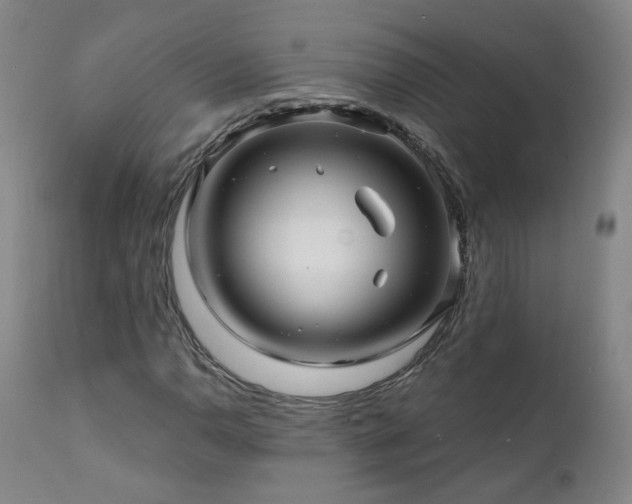 X0000112061110200908041208
