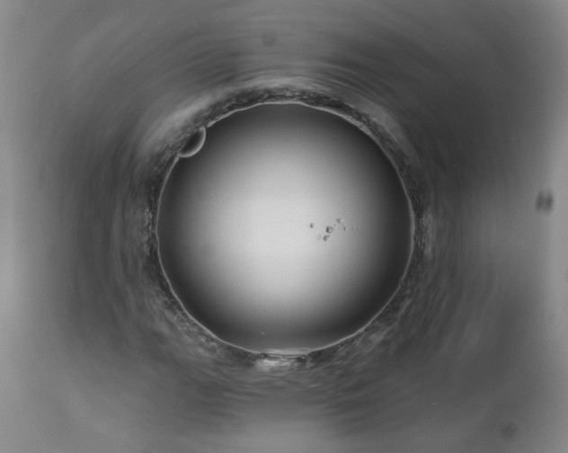 X0000112061111200908041208