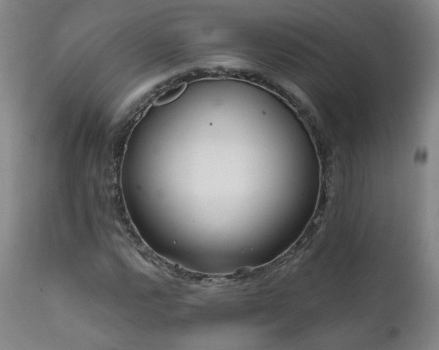 X0000112061112200908041208