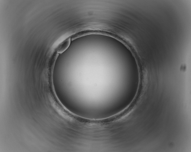 X0000112061114200908041208