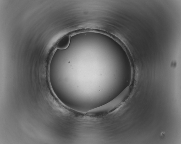 X0000112061115200908041208