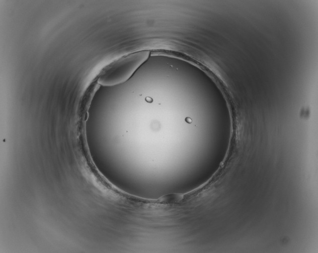 X0000112061116200908041208