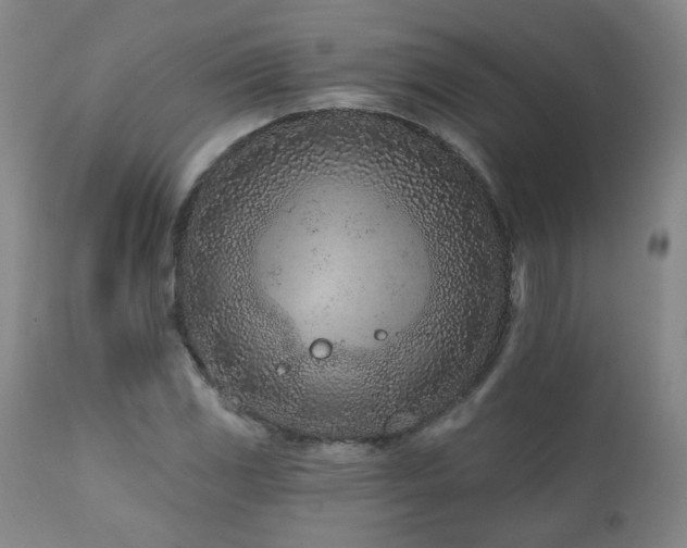 X0000112061117200908041208