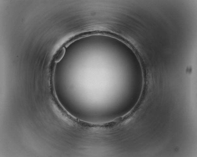 X0000112061118200908041208