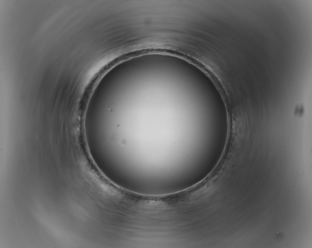 X0000112061119200908041208