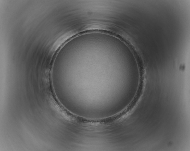 X0000112061121200908041208