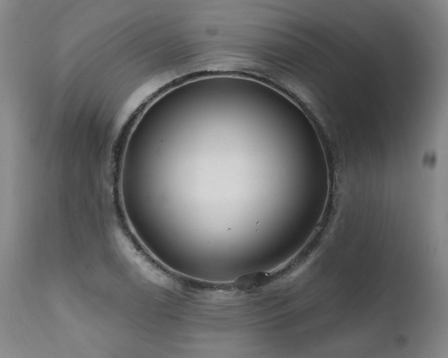 X0000112061122200908041208