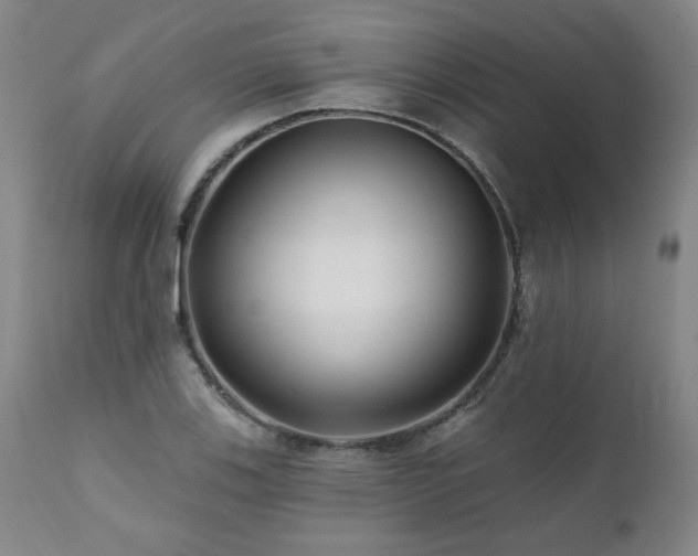 X0000112061123200908041208