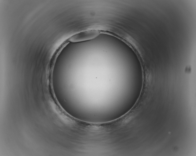 X0000112061124200908041208