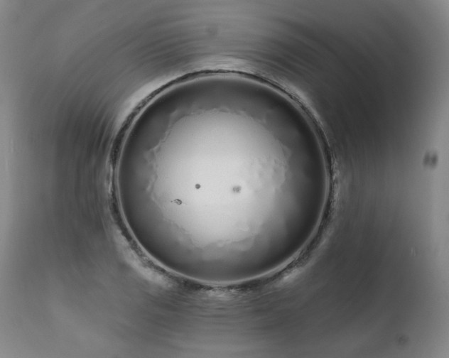 X0000112061125200908041208